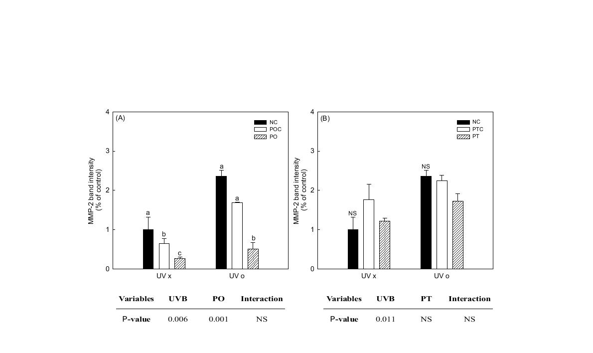 MMP-2 expression of propolis extract treatment on the hairless mice.