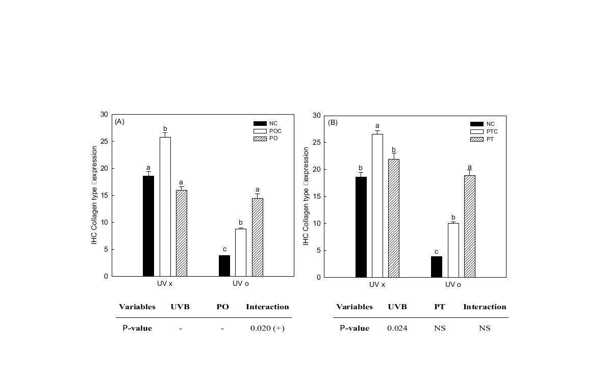 Col I expression of propolis extract treatment on the hairless mouse.