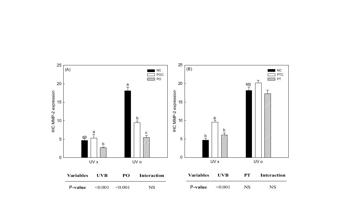 MMP-2 expression of propolis extract treatment on the hairless mouse.