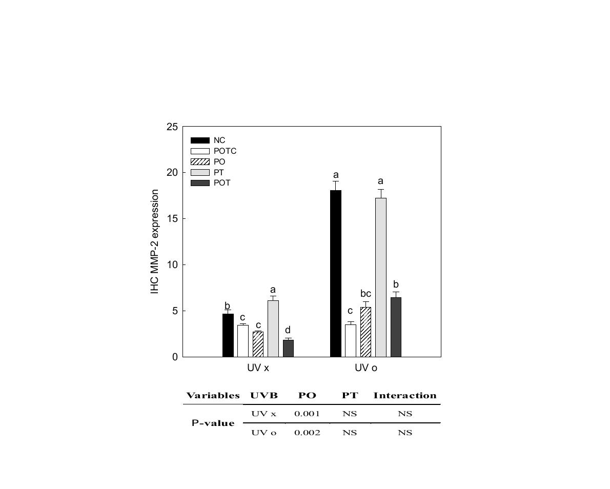 MMP-2 expression of propolis extract treatment on the hairless mouse.