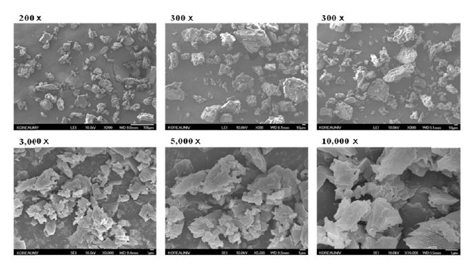 SEM for γ-cyclodextrin (200-10,000ⅹ).