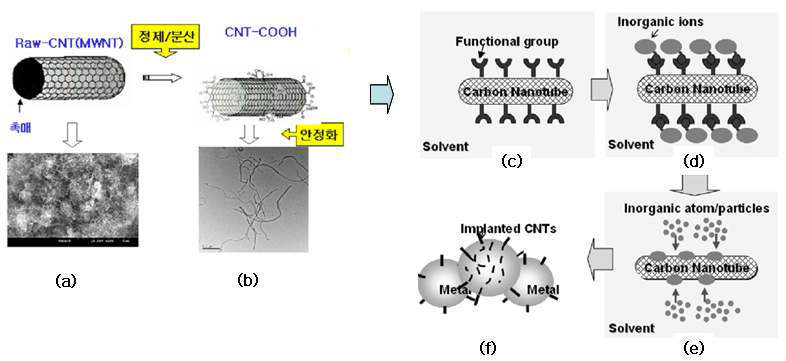 카본 나노 튜브(CNT)금속 나노 복합분말 형성공정