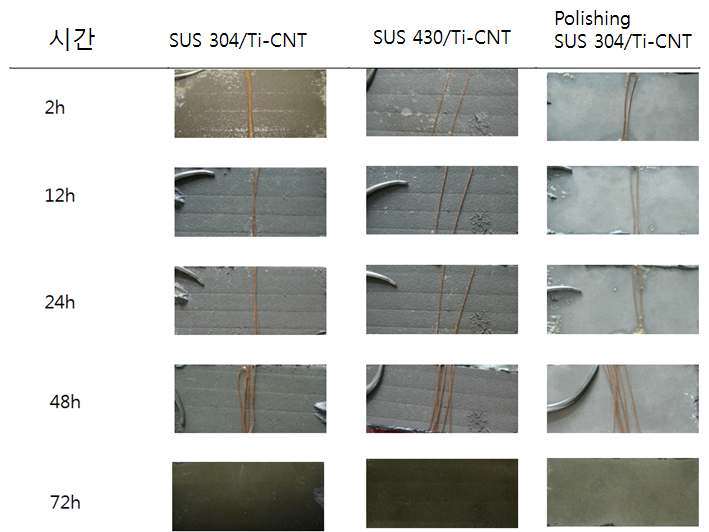 시간에 따른 부식 특성 실험