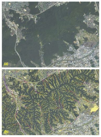 우면산 산사태 발생 전 (2009년)의 항공사진과 산사태 위험지역 분석자료