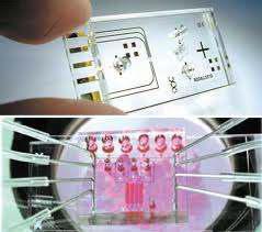 Microfluidics 및 랩온어칩의 예시