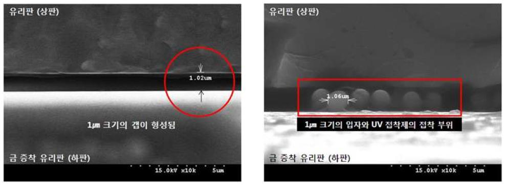 1µm의 공간갭이 형성된 필터(좌), 비드와 접착제의 공간 접착 사진(우)