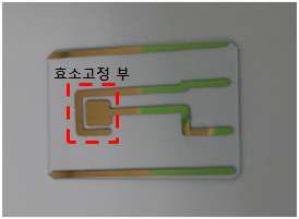 작업전극 및 효소 고정 부위