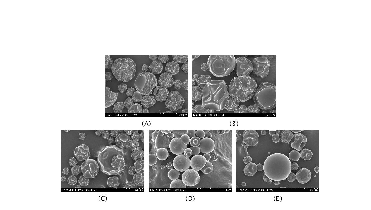 Scanning electron microscopic photographs of microencapsulated β-carotene by spray drying process (magnification ×1000). (A), Cyclodextrin 20%; (B), Maltod