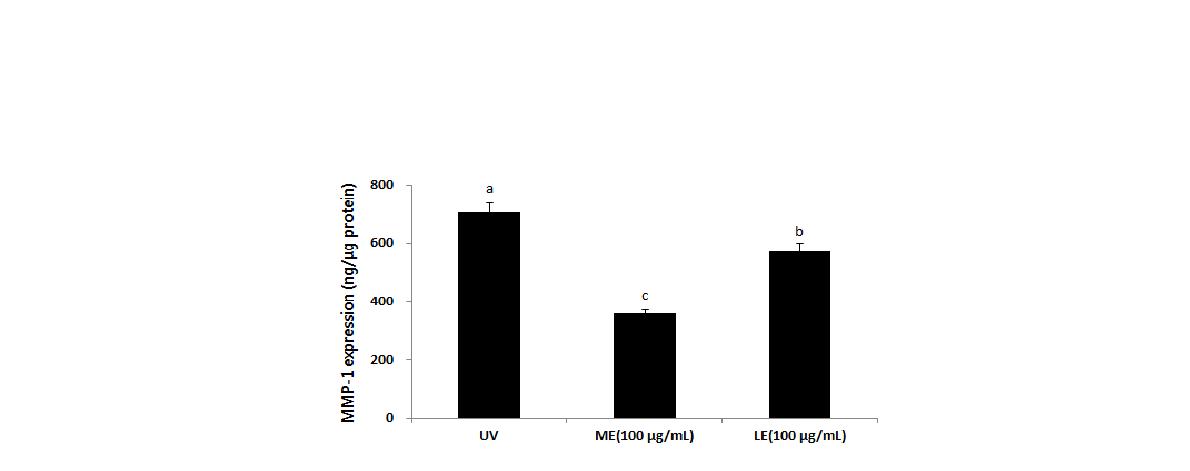 Effect of MMP-1 production by mulberry extract (ME) and Lithospermum