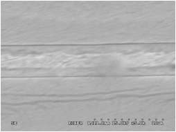 산소분압 10-2 torr, 900 ℃의 온도로 1분간 열처리한 조건에서 한 쌍의 GdBCO 2세대 고온초전도 선재를 초전도 접합 한 후 촬영한 접합부위의 단면부