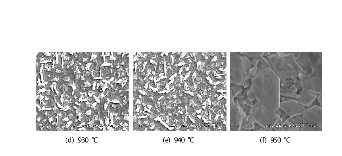 산소가압 조건이 2 atm 일 때 열처리 전과 910 ℃부터 950 ℃까지 10 ℃ 간 격으로 1분간 열처리한 GdBCO 초전도 층의 표면 SEM image.