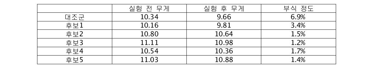 금속부식성 실험(Fe)