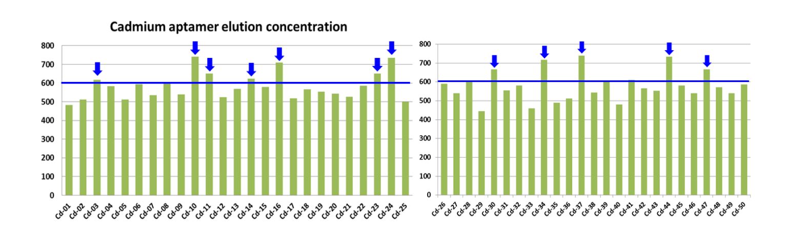 카드뮴 특이적 DNA 앱타머 후보군의 회수율 비교 결과