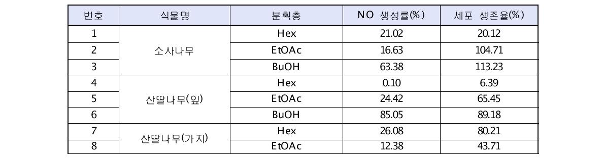 NO 생성 억제 및 세포 생존율 실험 결과