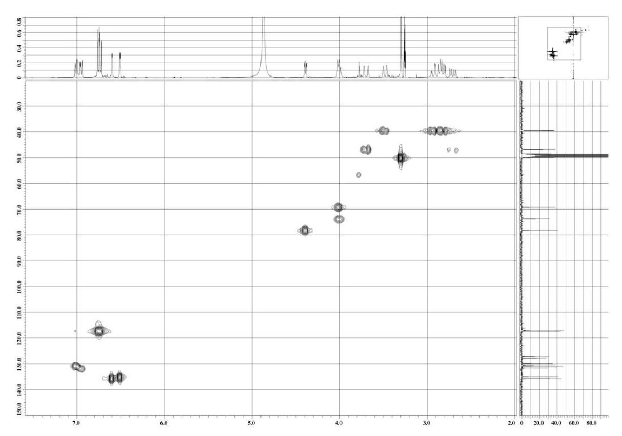 Figure 20. HMQC spectrum of compound 6 in CD3OD