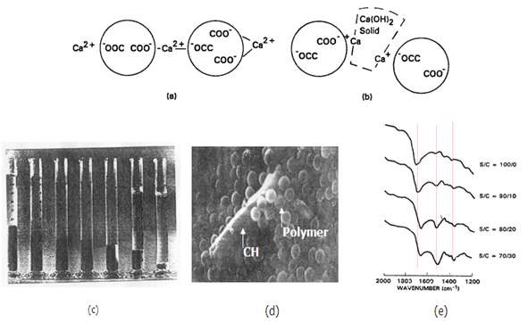 폴리머와 Ca(OH)2의 반응
