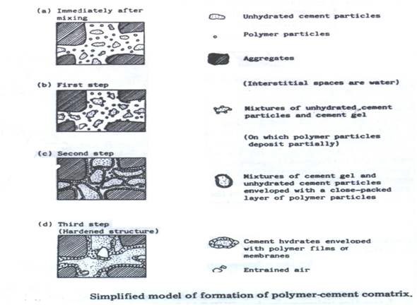 폴리머 시멘트 comatrix 형성 모델