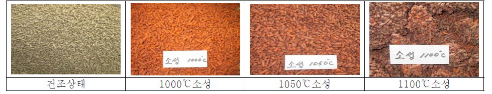 소성온도별 펠렛형상