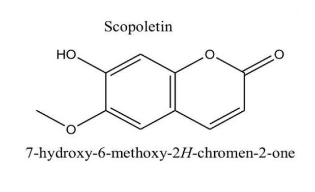 Structure of scopoletin compounds isolated from Morinda citrifolia.