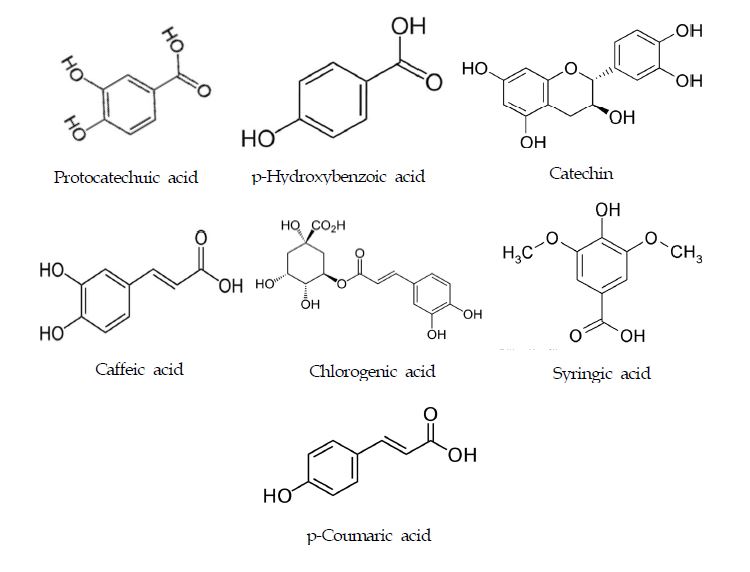 Phenolic compounds in Phyllostachys pubescens