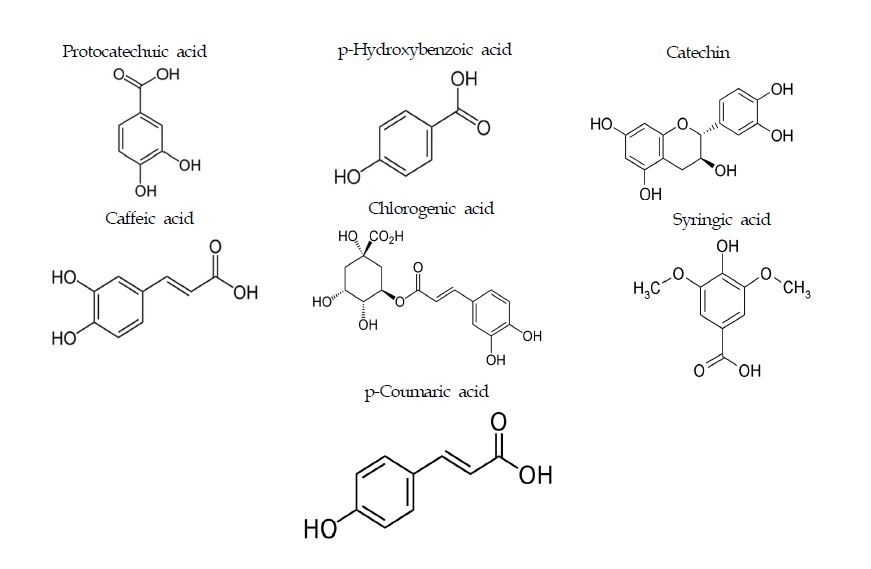 Phenolic compounds in bamboo shoot(Phyllostachys nigra, PN)