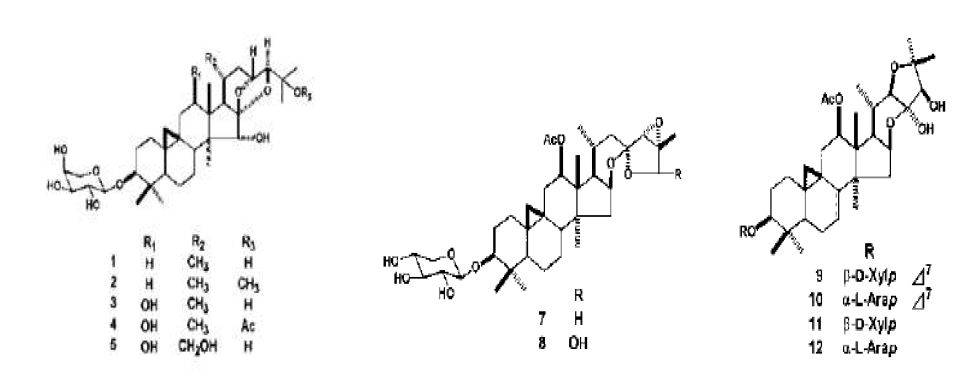 Structure of isolated compounds from root of Cimicifuga racemosa(1) cimigenol-3-O-a-L-arabinopyranoside (2) 25-O-methoxycimigenol-3-O-a-L-arabinopyranoside