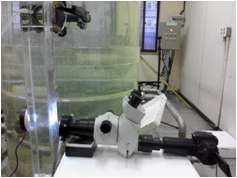 광학 현미경을 이용한 버블 측정 장치