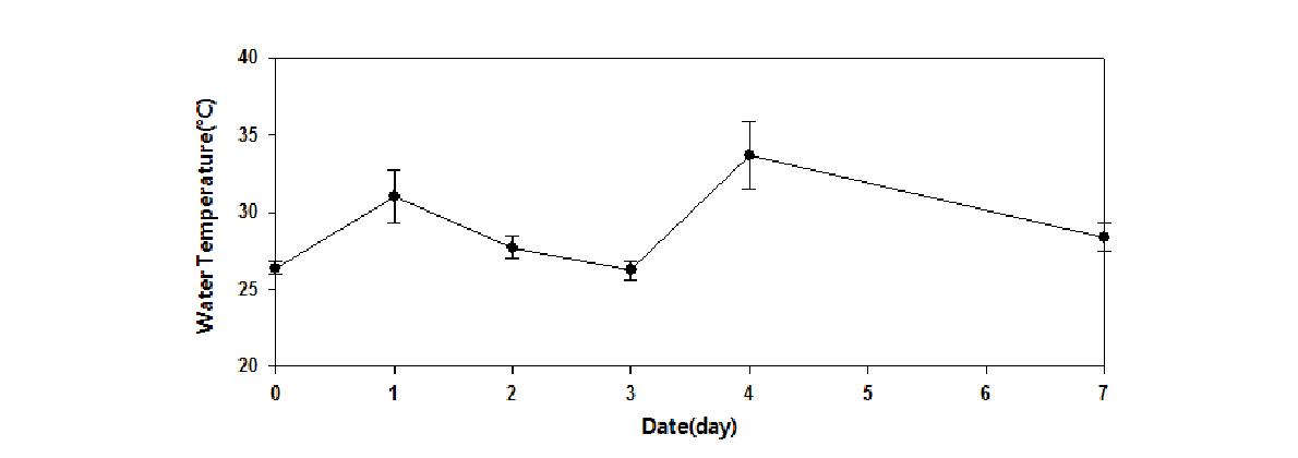 실험 기간 중 배양조 수온변화