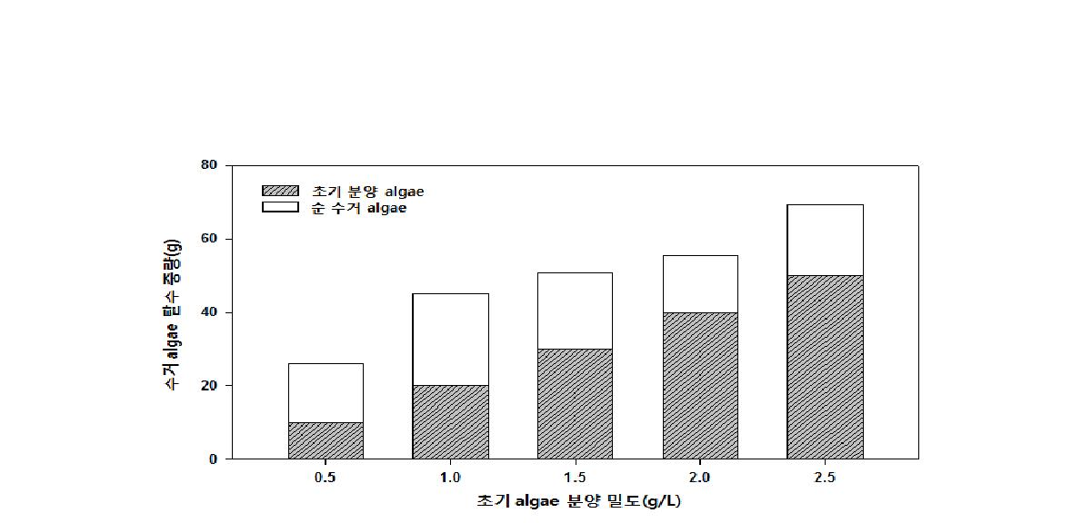 초기 분양 algae 밀도에 따른 조류 수거량 비교실험 결과