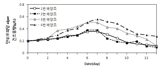 배양수 종류에 따른 실험군의 건조중량 일 측정 결과