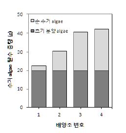 각 실험조건에서의 조류 수거량 비교실험 결과