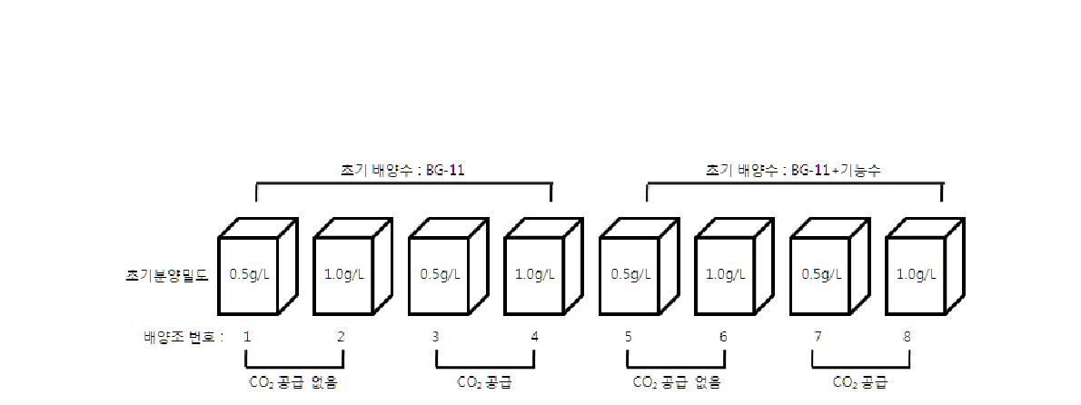 초기 분양밀도 및 이산화탄소 공급에 따른 조류 수거량 비교실험 모식도