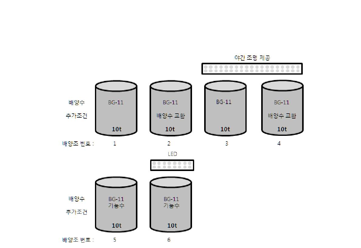 10톤 대량배양 실험의 모식도