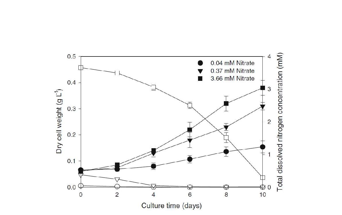 초기 nitrate 농도에 따른 B. braunii의 생장 속도 비교