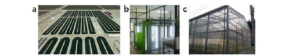 조류 대량배양시스템