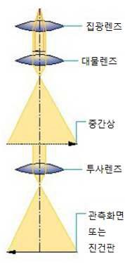 현미경의 기본 구조