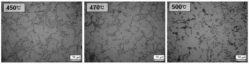 용체화 온도에 따른 미세조직 및 공정 Si의 개량화