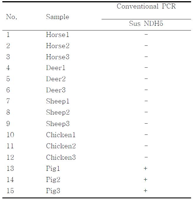 PCR products using the sus NDH5 primer.