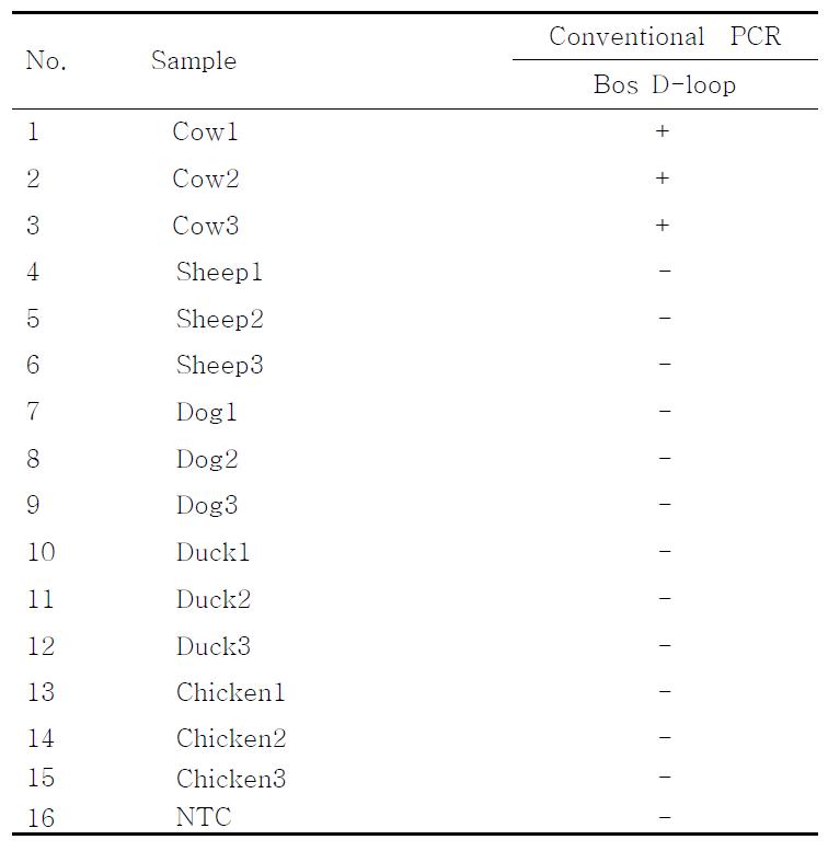 PCR products using the Bos D-loop primer.