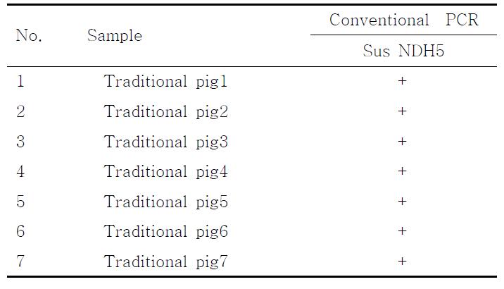 PCR products using the Sus NDH5 primer.