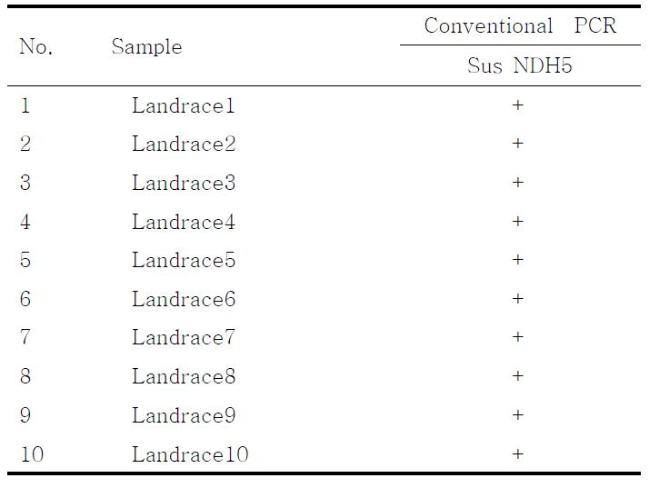 PCR products using the Sus NDH5 primer.