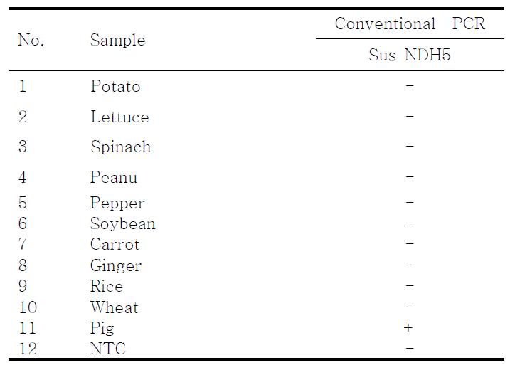 PCR products using the Sus NDH5 primer.