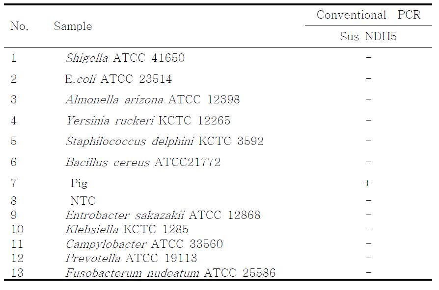 PCR products using the Sus NDH5 primer.