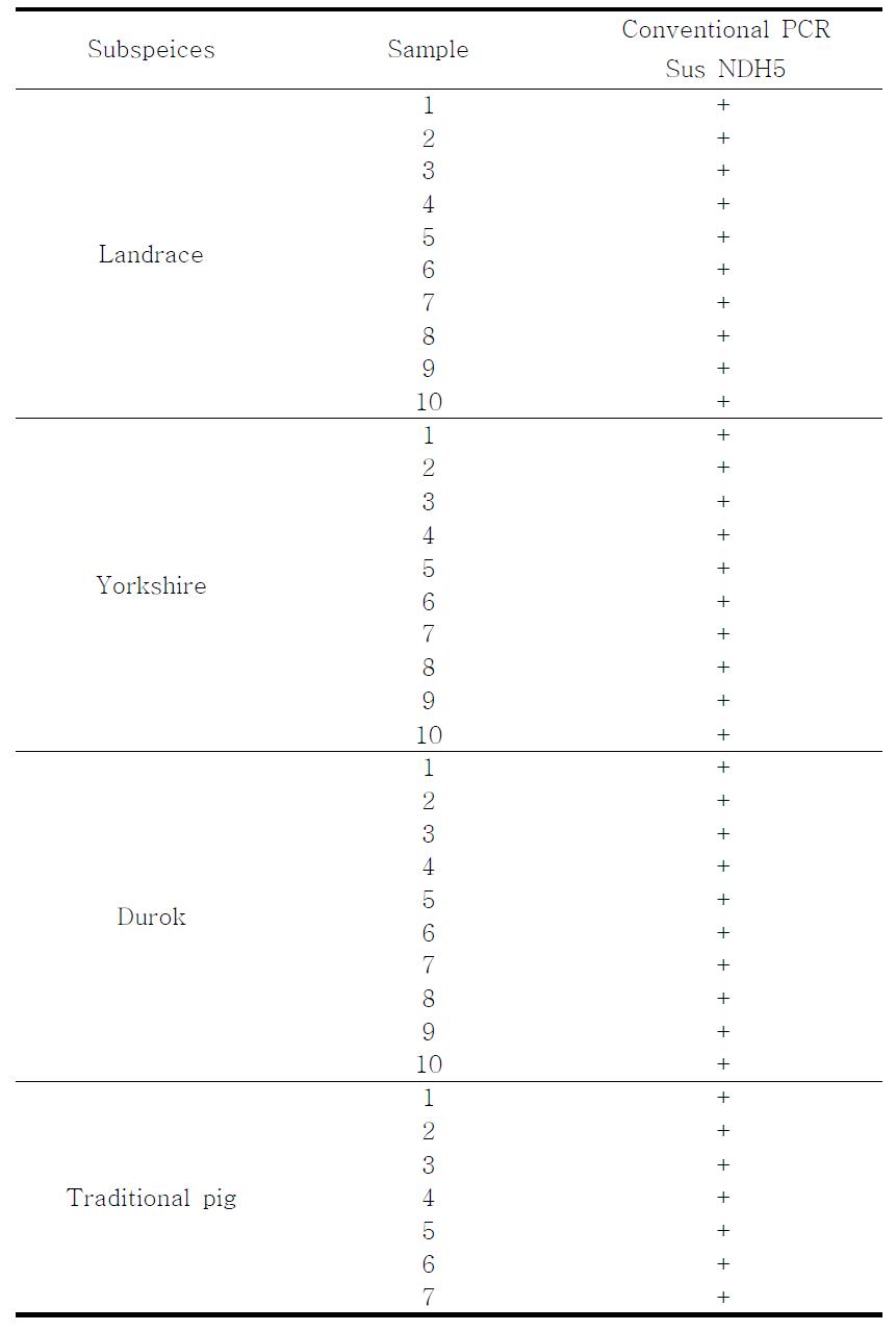 Result from PCR analysis of Pig. ,Pig of subspecies.