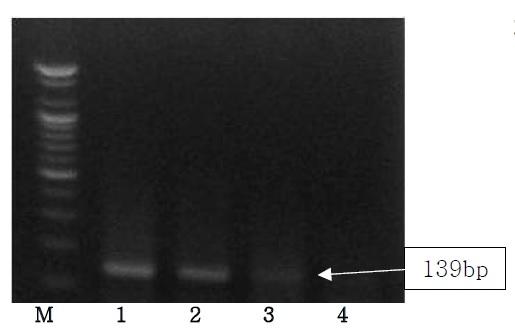 The result of sensitivity of PCR assays from Pig for specific primer