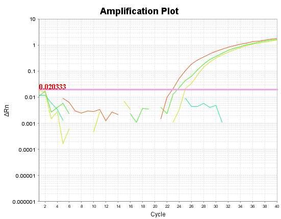 Detection of Cow using real-time PCR system.