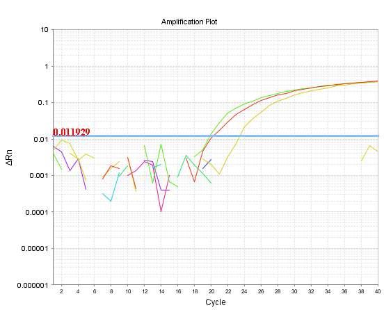 Detection of chicken using real-time PCR system.