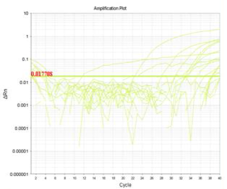 Detection of cow from processed food by real-time PCR using D-loop primer.