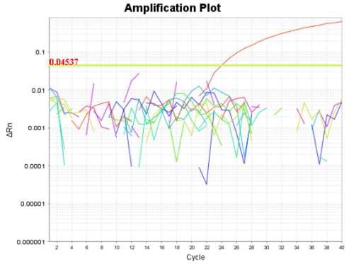 Detection of sheep from halal foods by real-time PCR using D-loop primer. 5-