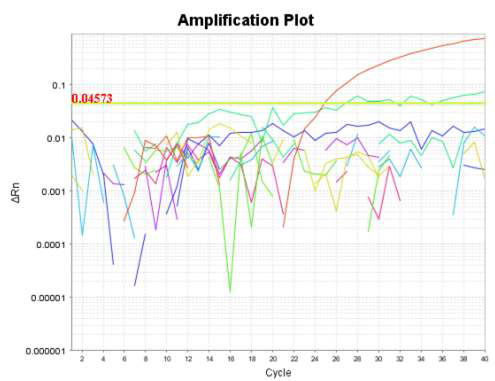 Detection of sheep from processed food by real-time PCR using D-loop primer.